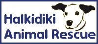 animal rescue halkidiki